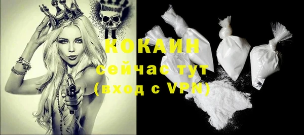 spice Алзамай