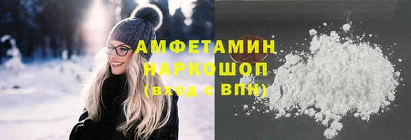 СК Бердск