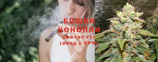 шишки Осташков
